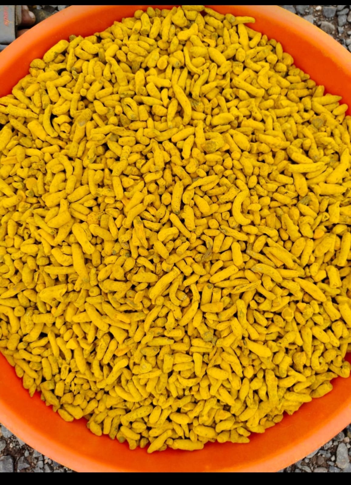 Turmeric